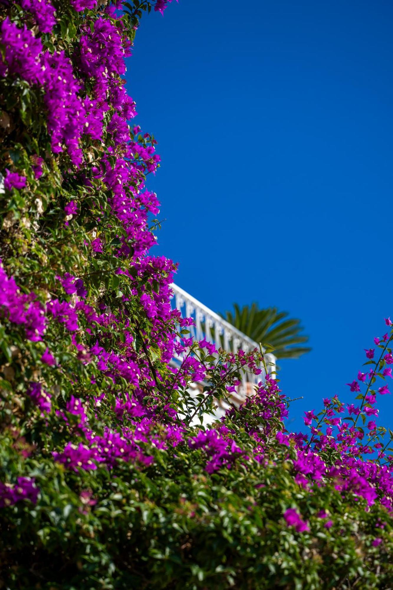 Casetta Arienzo Positano Exteriér fotografie